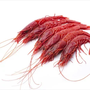 CARABINARO SHRIMP