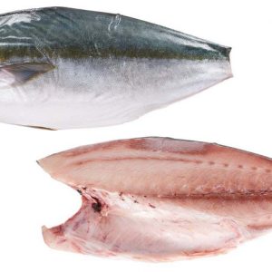 FROZEN YELLOW TAIL HAMACHI