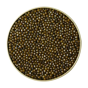 CALLUGA HYBRID CAVIAR